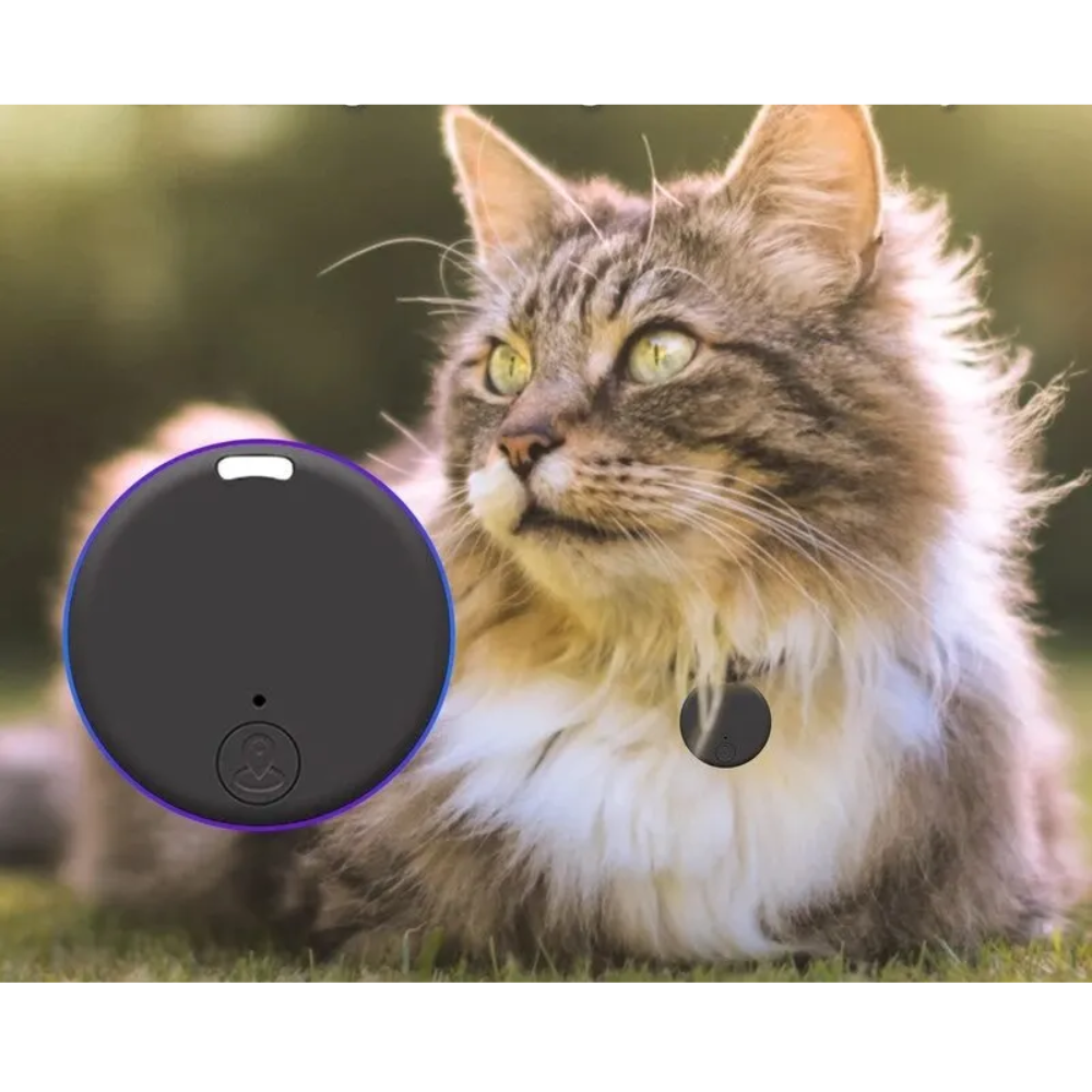 Traceur GPS pour Animaux – Localisation Précise, Zones de Sécurité, Étanche et Autonome